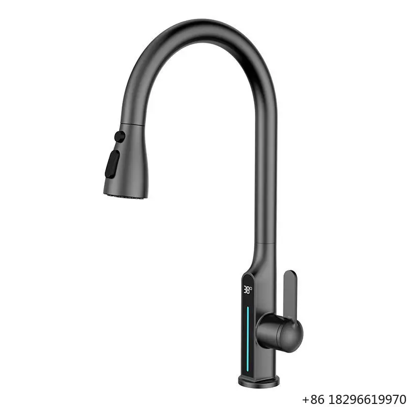 

Digital Thermostatic Kitchen Faucet Stainless Steel 4-Function Pull-out for Hotel