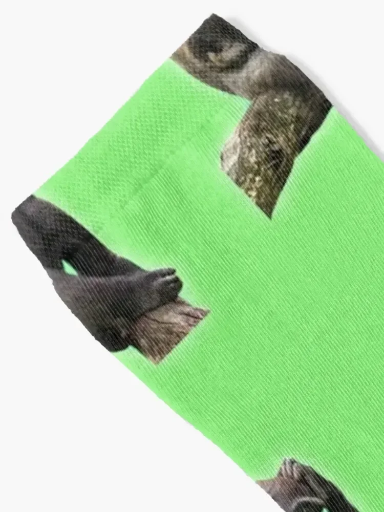 Chimpanzee Socks christmas gift hockey Novelties floral Socks Male Women's