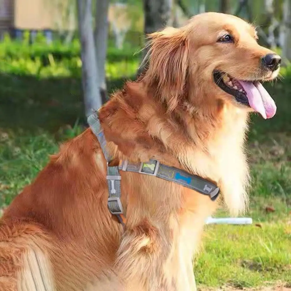 

Adjustable Colorful Bone Dog Harness Vest with Rope Anti-breakaway Pet Collar Harness Leash Wear-resistant Polyester