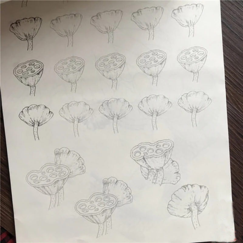 Fine Brushwork Line Drawing Zero Basic Copybook per Landscape Stone Mountain Animal Bird Flower Plants