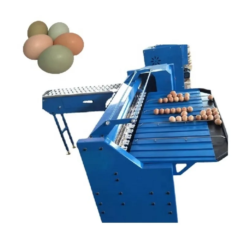 automatic mini small chicken duck egg goose weight sorting grading grader machine philippines