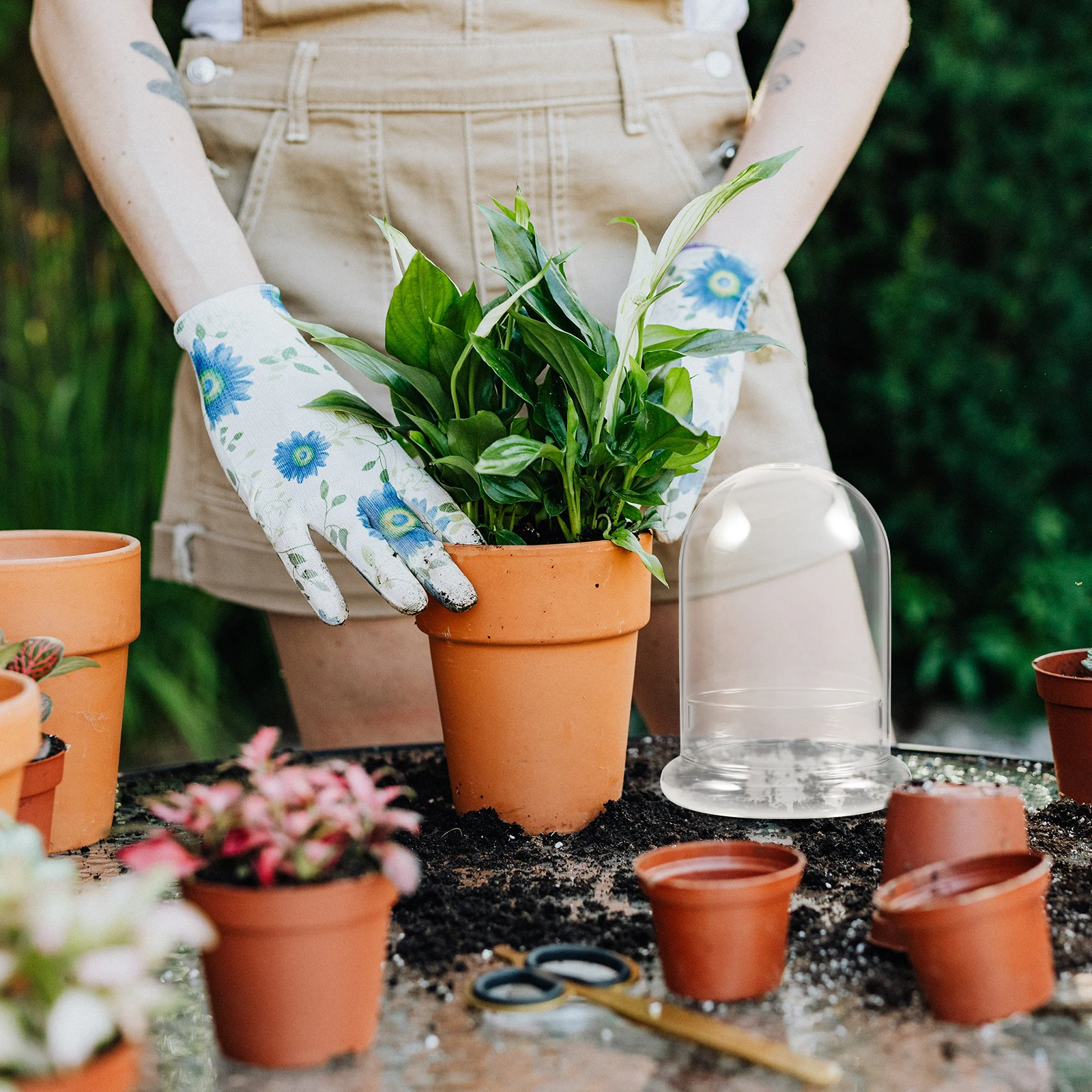 

Clear Glass Dome Terrarium Vase for Plants Flowers Mini Landscape Decoration Bell Jar Display Holder Home Office Decor Accessory