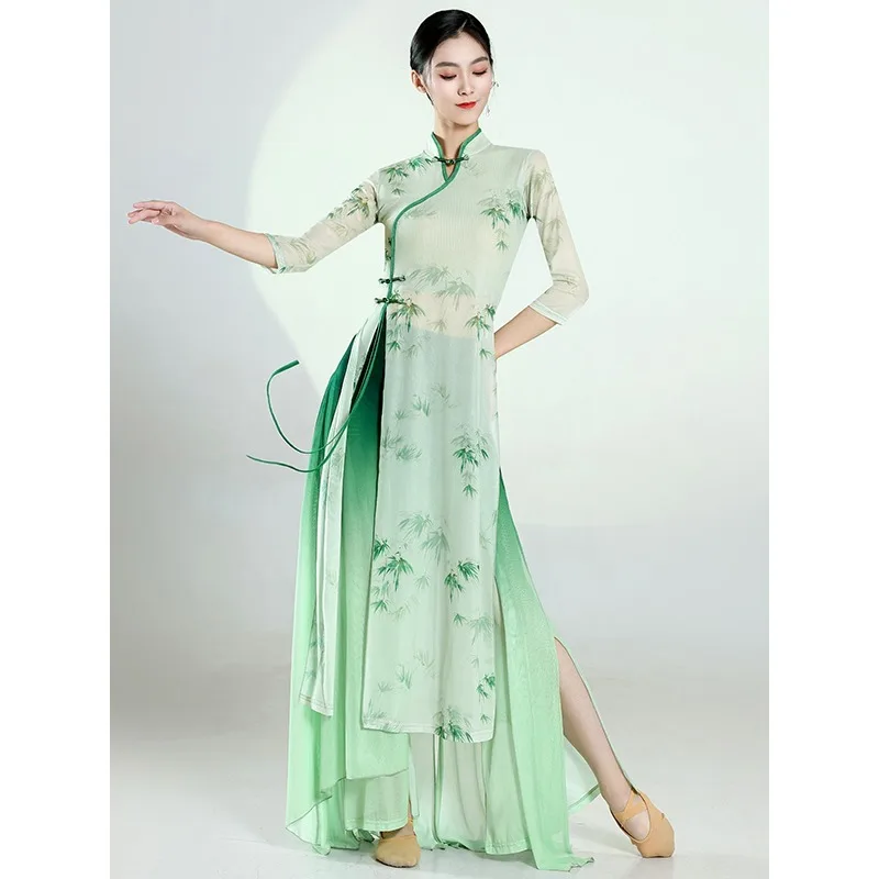 Classical Dance Costumes Ropa De Baile Folclórico De Estilo Chino ElasticGauzeWomen's Elegant Training UniformWomen's Dance Suit