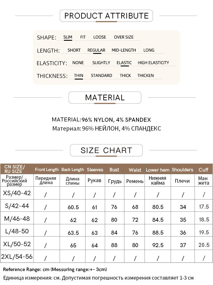 Amii Minimalism Mesh T-shirts For Women 2024 Autumn New Office Lady Half-high Neck Micro Perspective Slim Retro Shirt 12423055