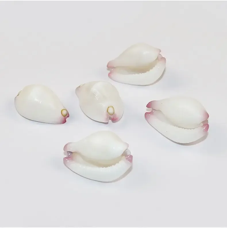 White Rabbit Snail Natural Conch Shell Fish Tank Landscaping Home Decoration Ornaments Collection Rare Conch Mini Conch