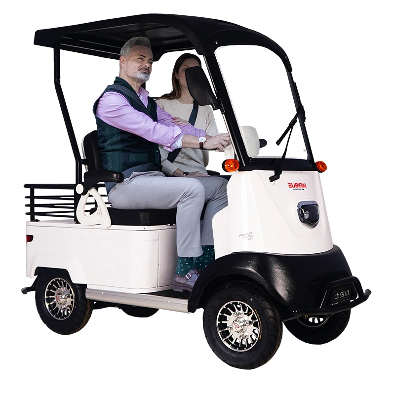 

MinibusX2 Canopied Four Wheeler Twoseat Reliable Trips Elderly Disabled Sightseeing 650w Electric Scooter