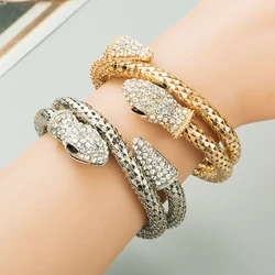 Personalized And Exaggerated Punk Snake Shaped Wrapped Men's And Women's Bracelet Alloy Rhinestone Vintage Bracelet Jewelry