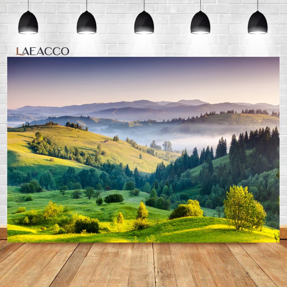 Laeacco Nature Scenery Backdrops Cloudy Sky Mountains Forest Green Trees Children Portrait Photography Backgrounds Home Studio