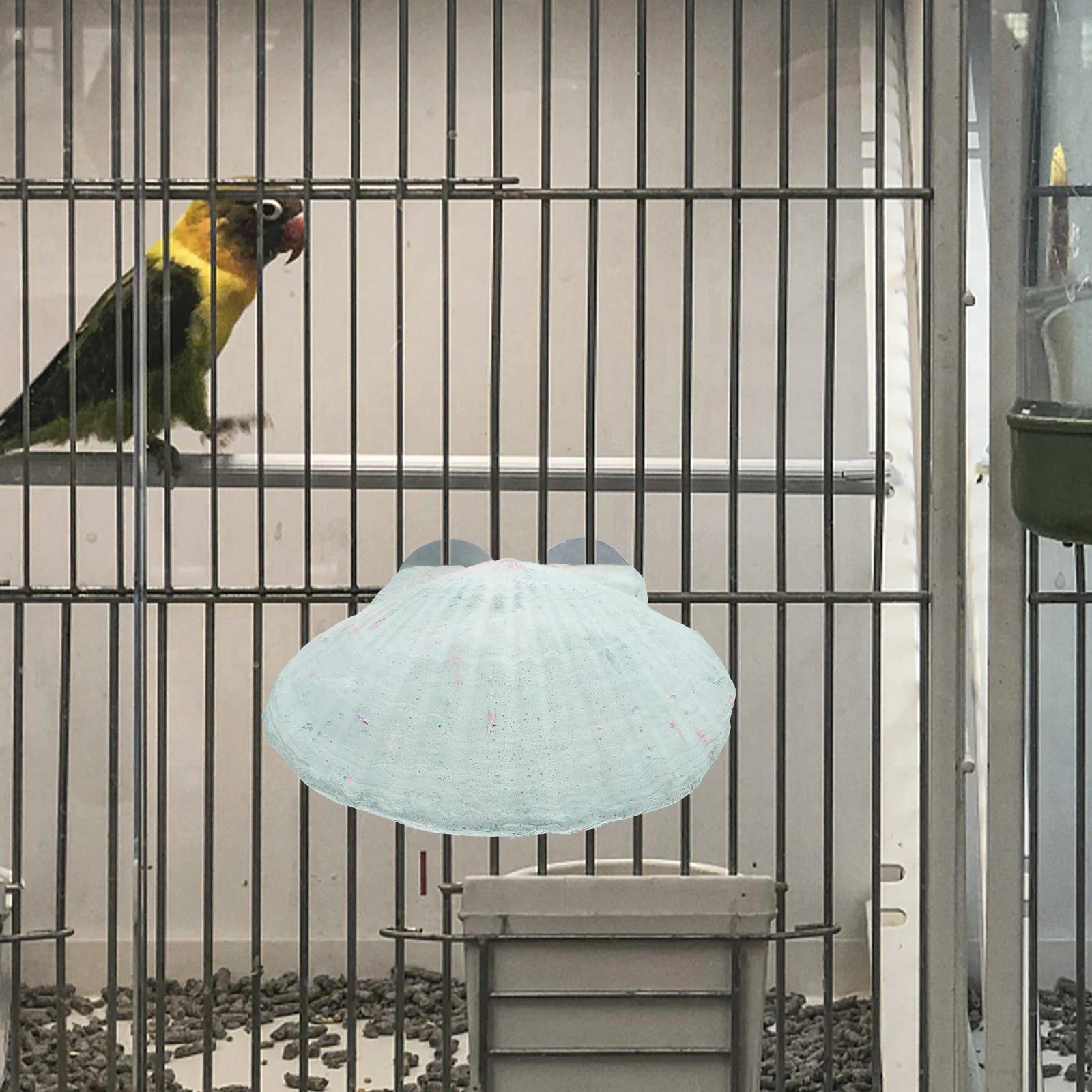 

Parrot Standing Perch Scratching Stone Durable Bird Cage Mount for Climbing Chewing Healthy Beak Nails Bite Grinding