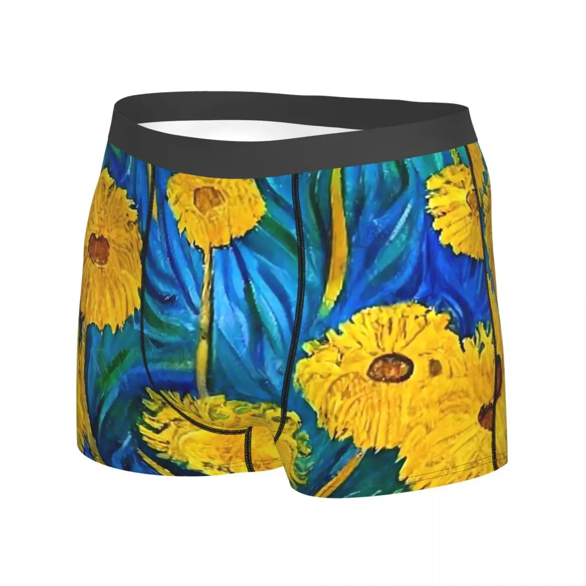 Field Of Dandelion Underwear Abstract Art Sexy Underpants Sublimation Shorts Briefs Pouch Men's Large Size Boxershorts