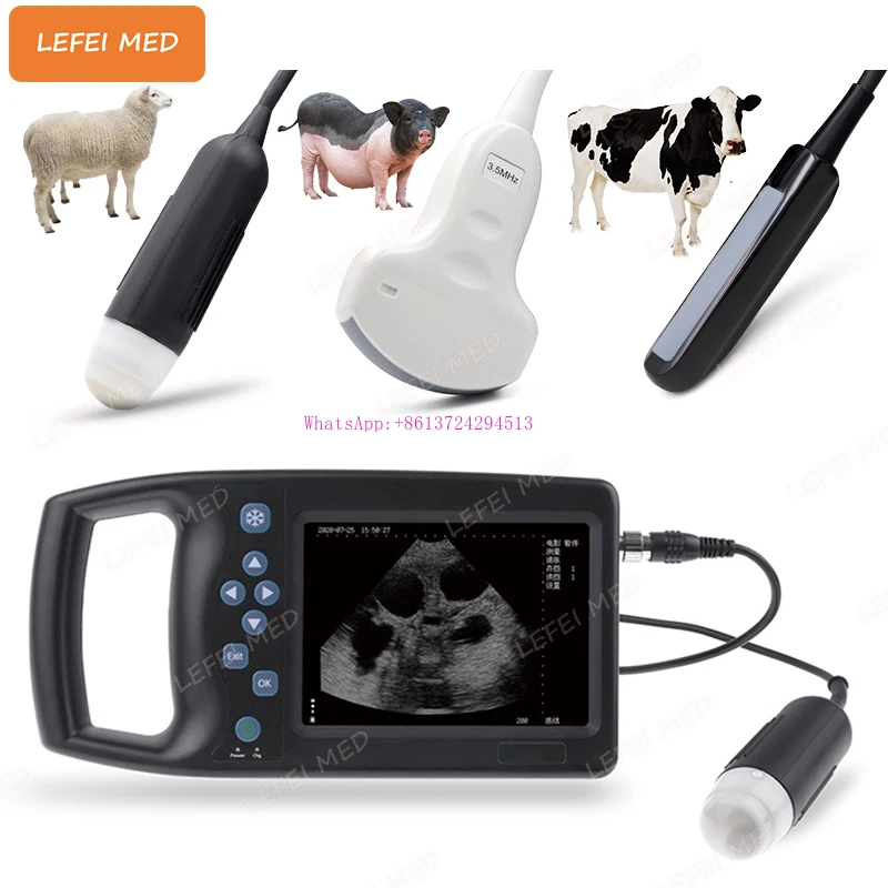 Animal  Scanner Ultrasound Cattle, Sheep, Pigs, Horses, Camels, Cats, Dogs Vet Machine Veterinary Portable Ultrasound