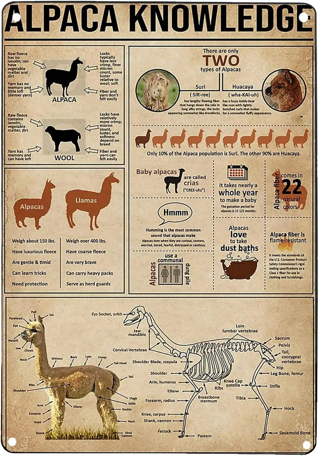 Alpaca Knowledge Vintage Metal Sign Education Infographics Tin Sign Plaque for School Cafe Club Bar 12x16 Inch Iron Painting