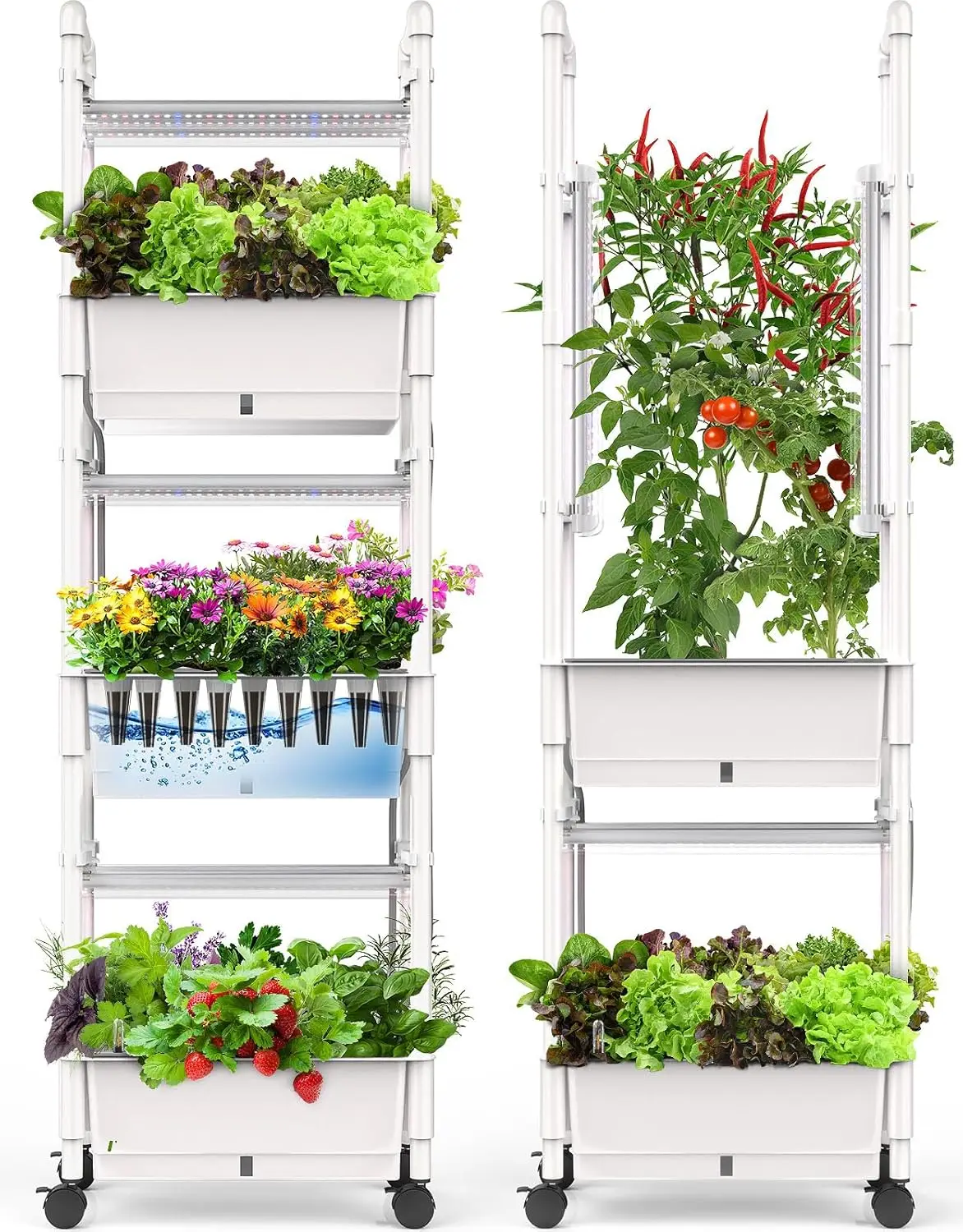 Indoor Hydroponics Growing System in Glossy White, with Adjustable Height, Automatic Timer and Pump System