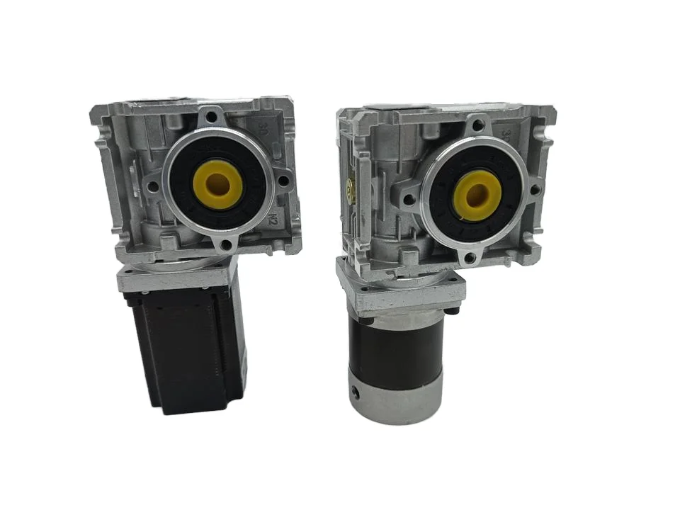 High Torque 24V 100W 200W 300W 400W Brushless DC Worm Gear Motor RV Self-locking for Lawn Mower
