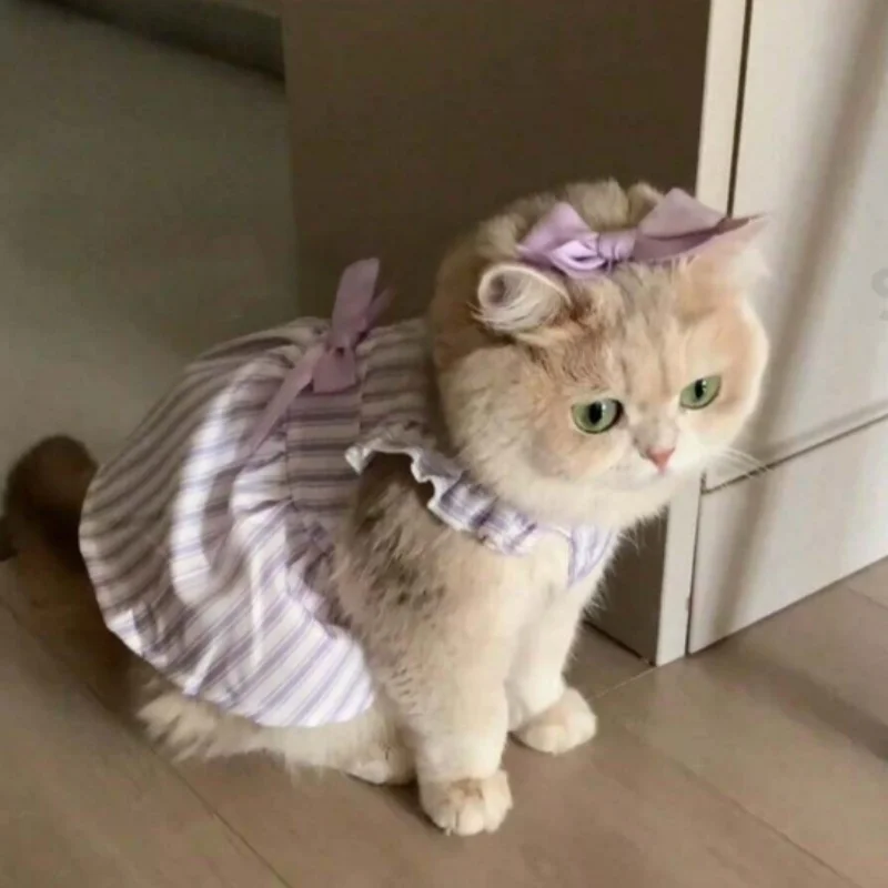 Spring Summer Princess Style Pet Dress, Thin Breathable Skirt for Cats and Small Dogs