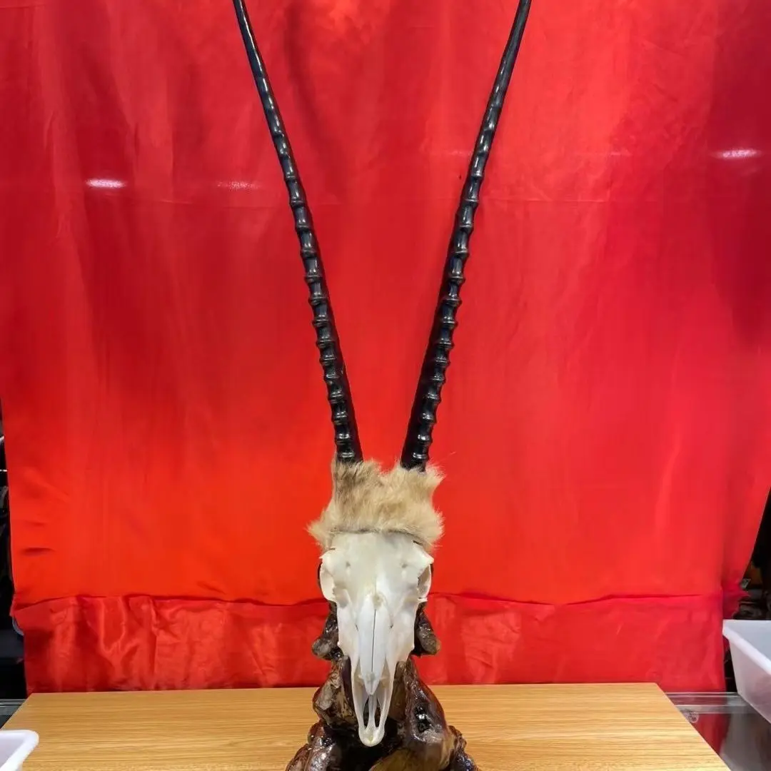 

Croissant ornament, living room decoration, wall hanging, entrance, desktop light luxury gifts, handicrafts