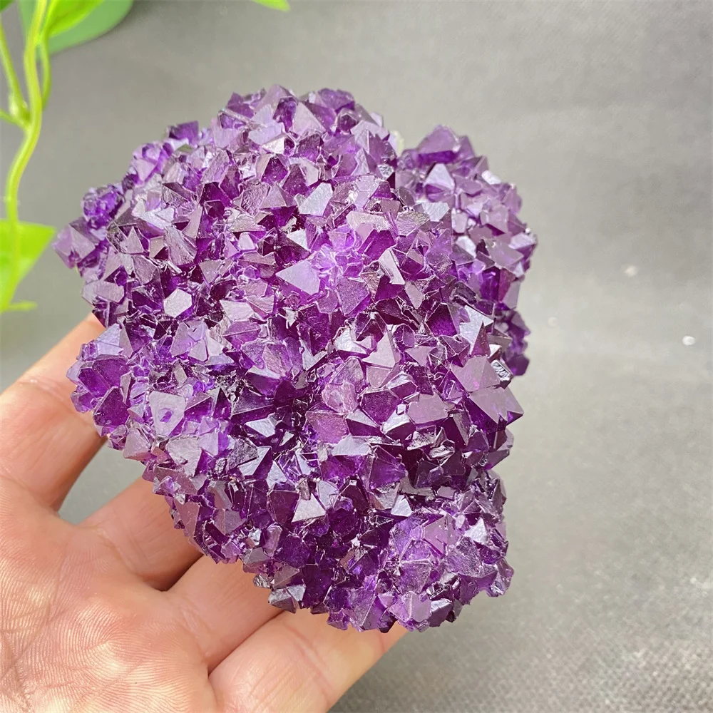 

Natural Amethyst And Blue Crystal Symbiont Rare Mineral Specimen - Wiccan Spiritual Home Decoration with Base