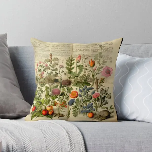 Old Plant Drawings Of Horticulture And B  Printing Throw Pillow Cover Car Case Home Anime Waist Pillows not include One Side