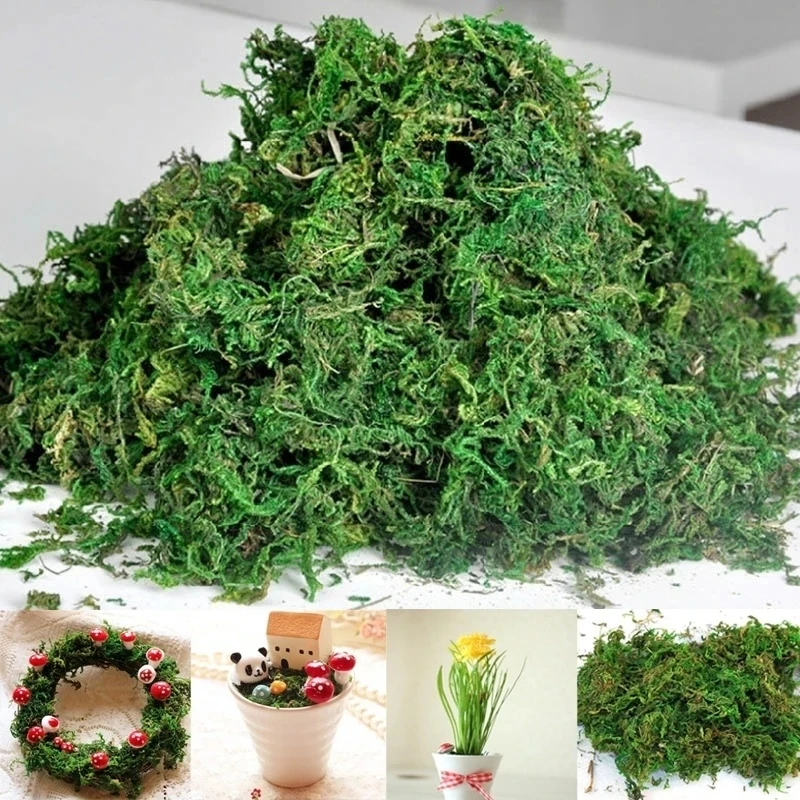 1 Pack Artificial Moss Green Plants Potted Greenery Moss Fairy Garden Terrariums Decoration