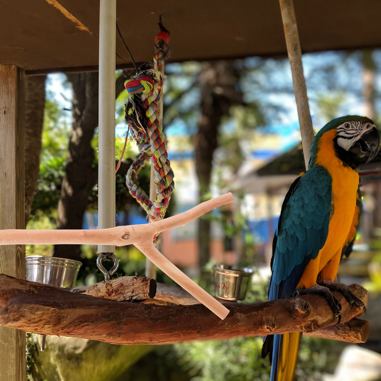 

2pcs Standing Rack Wooden Pet Bird Cage Perch Stand Pole Parrot Wooden Standing Bracket Exercise For Birds Pet Supply Bird Cage