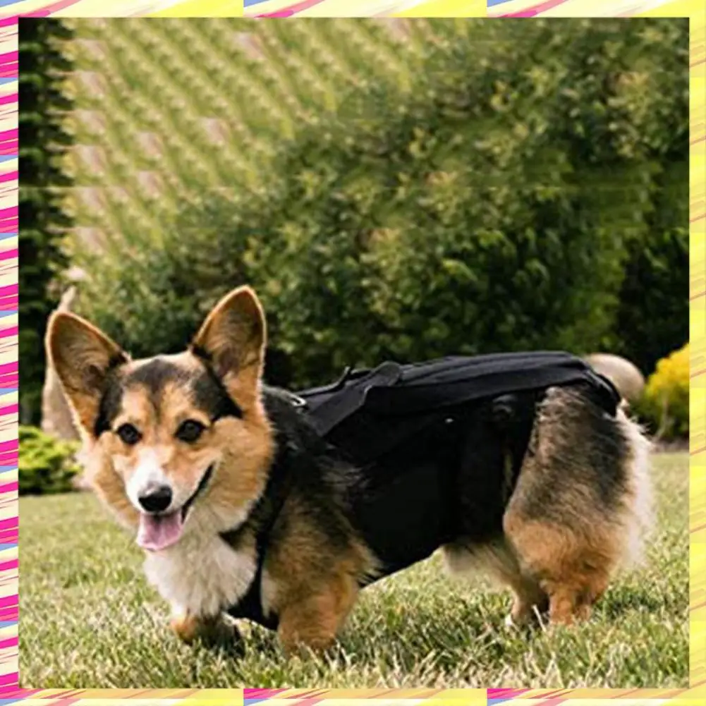 

ABJJ Dog Back Brace For IVDD,Pet Dog Back Brace Comfortable Full Body Harness Dog Clothing Dog Back Protector