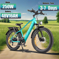 Electric Bike 250W Brushless Motor 48V16AH Lithium Battery Hydraulic Braking E-Bike 26-Inch Fat Tire Mountain Electric Bicycle
