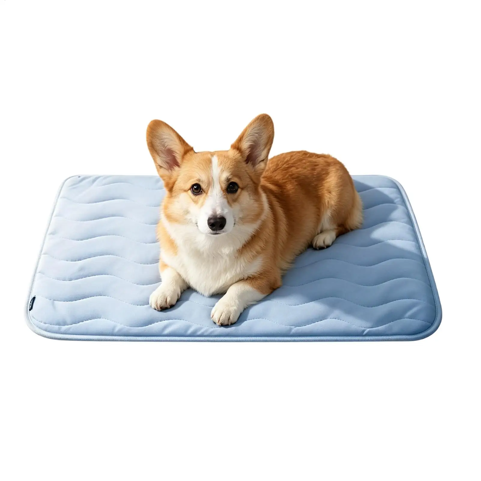Dog Cooling Mat Summer Pet Cold Bed Pad For  Dogs Pet Accessories Cat Durable Blanket Sofa Cat Ice Pad Blanket Pet Supplies view 2