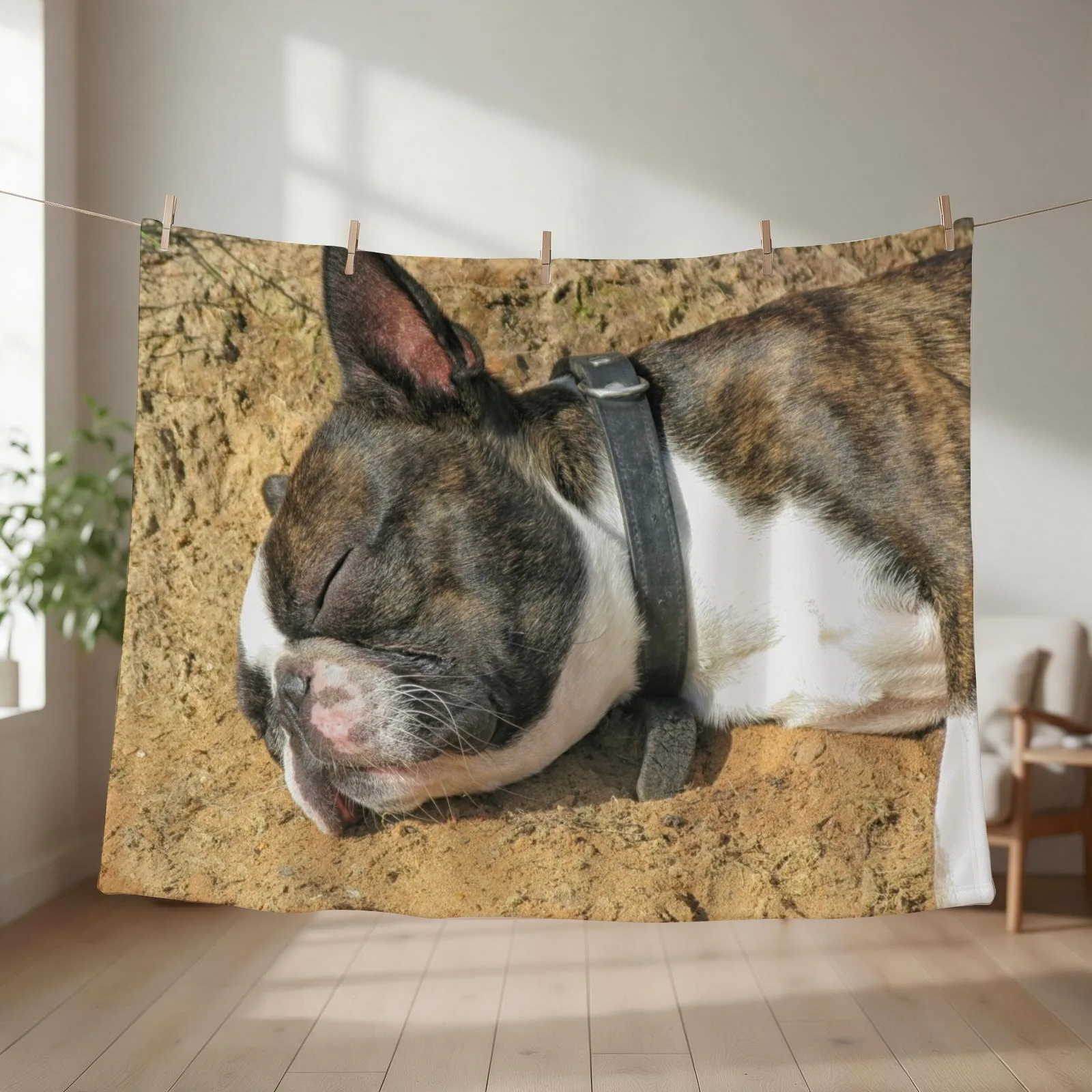 Boston Terrier sleeping Throw Blanket couch cozy soft plush fuzzy picnic outdoor blanket