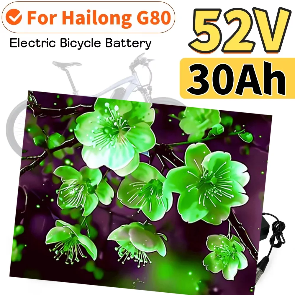 

52V 30Ah EBike Battery For Hailong G80 Electric Bicycle Lithium Battery Pack Built-in BMS For 1500W 1000W 750W 500W 250W Motor