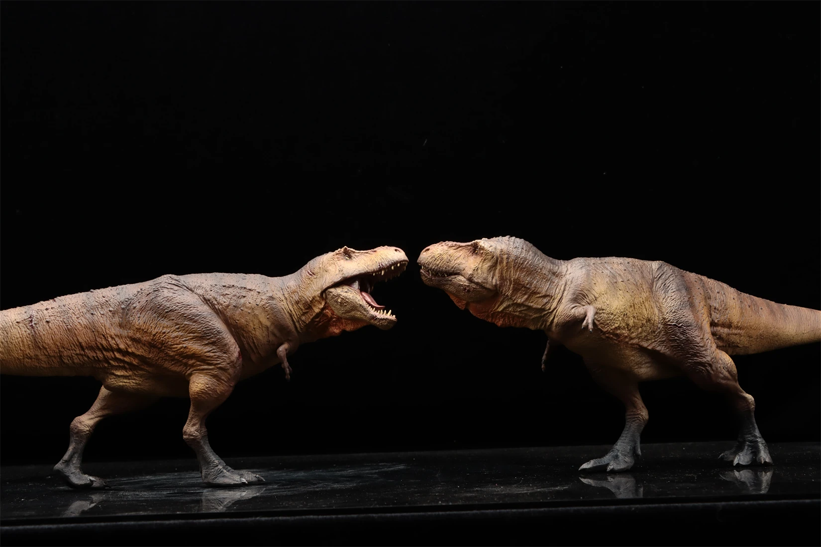 SHOWANNA Studio 1:35 Scale Tyrannosaurus Rex Scotty Model History Museum Series Dinosaur Animal Collection Scene GK Decoration