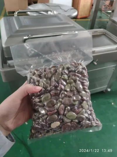 Chicken Duck Fish Vacuum Packaging Machine Food Special Small Vacuum Equipment Bag Sealing Machine
