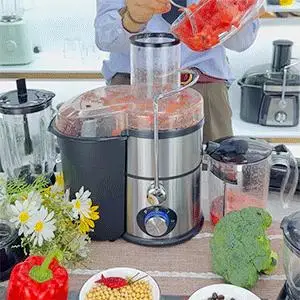 Multifunctional Household Electric Pulp Juice Separator Juicer Large Diameter Stainless Steel Fruit Juicer Cross-Border English