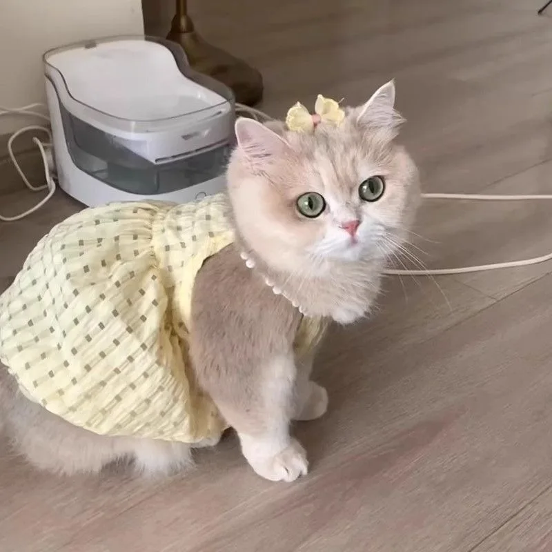 

Cute Summer Suspender Skirt for Cats Supply Anti Hair Loss Design with Gold Gradient Perfect for Kittens and British Shorthairs