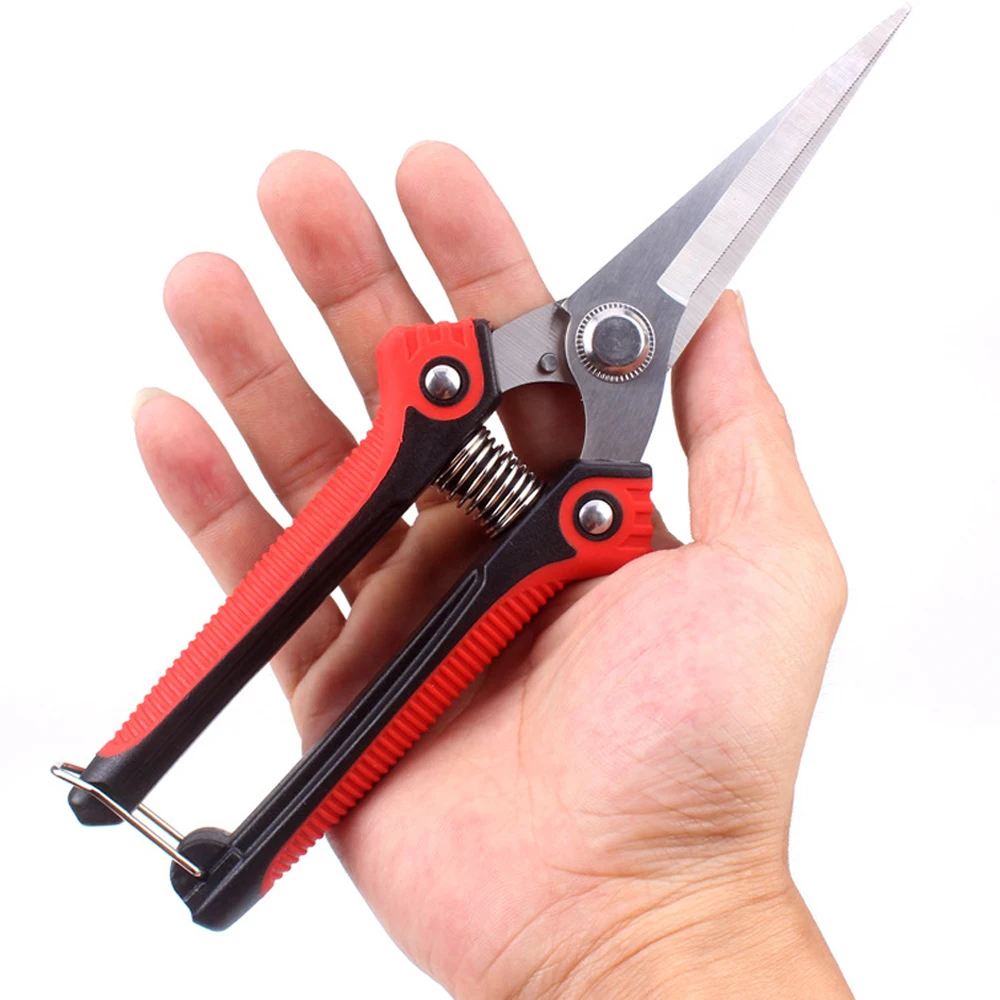 RDDSPON Pruning Shear Branch Scissors Stainless Steel Non-Slip Handle Sharp Garden Fruit Tree Pruning Very Sharp Garden Tools