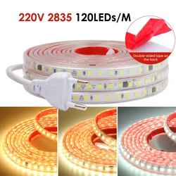 220V LED Strip EU Plug Self-adhesive SMD 2835 120LEDs/m IP65 Flexible LED Light Tape with IC Rectification 3000K 4000K 6000K