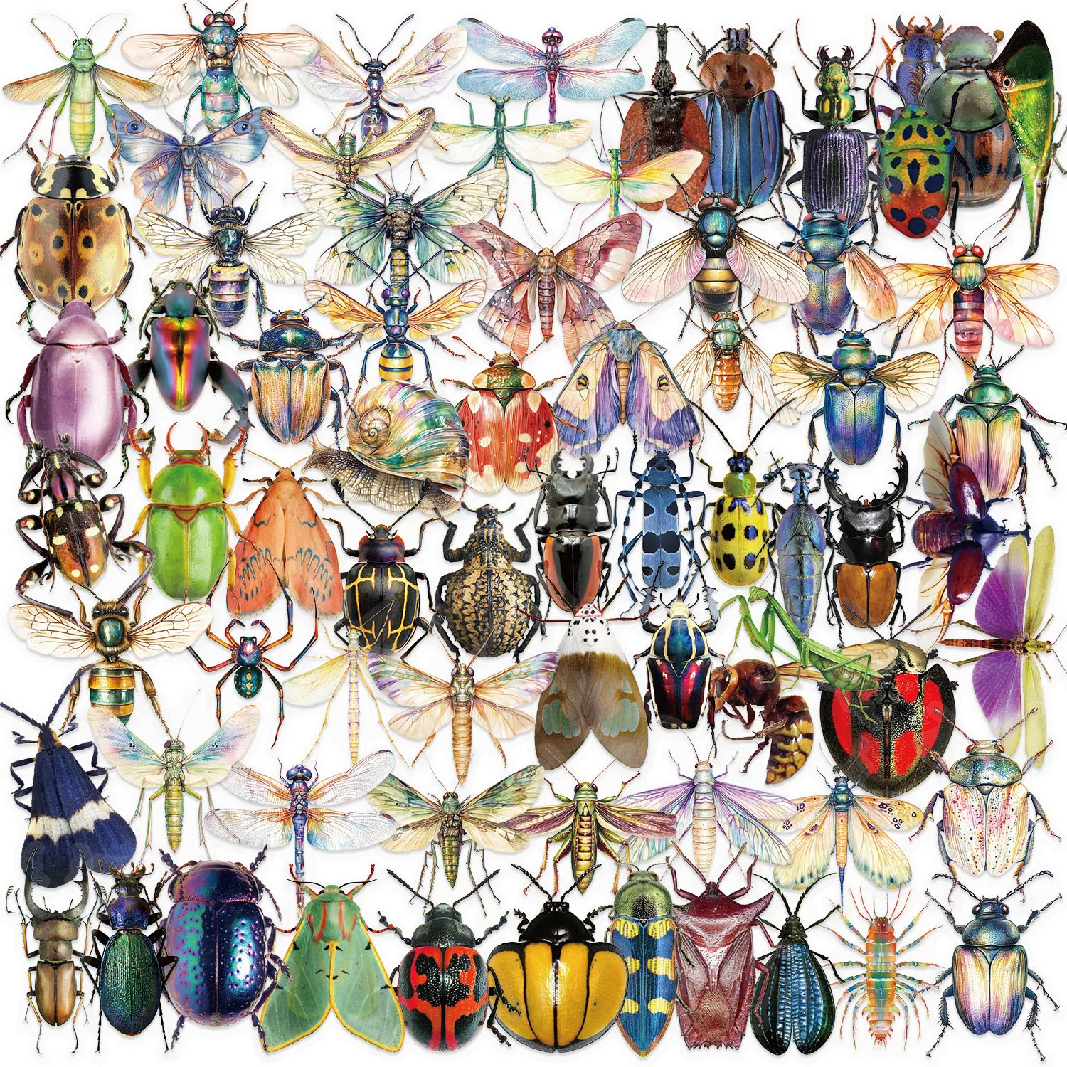 yZ[z100 JtȖ捩g{XebJ[ DIY {gdbqm[gubN PET XebJ[