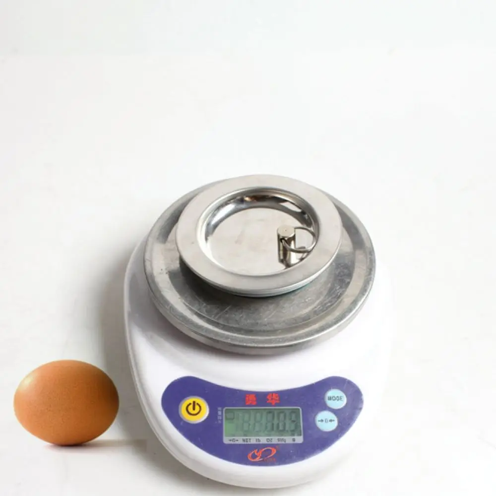For Talea Kitchen Sink Drain Filter Stopper SUS304 Stainless Steel Basin Sealing Cover Universal Replacement
