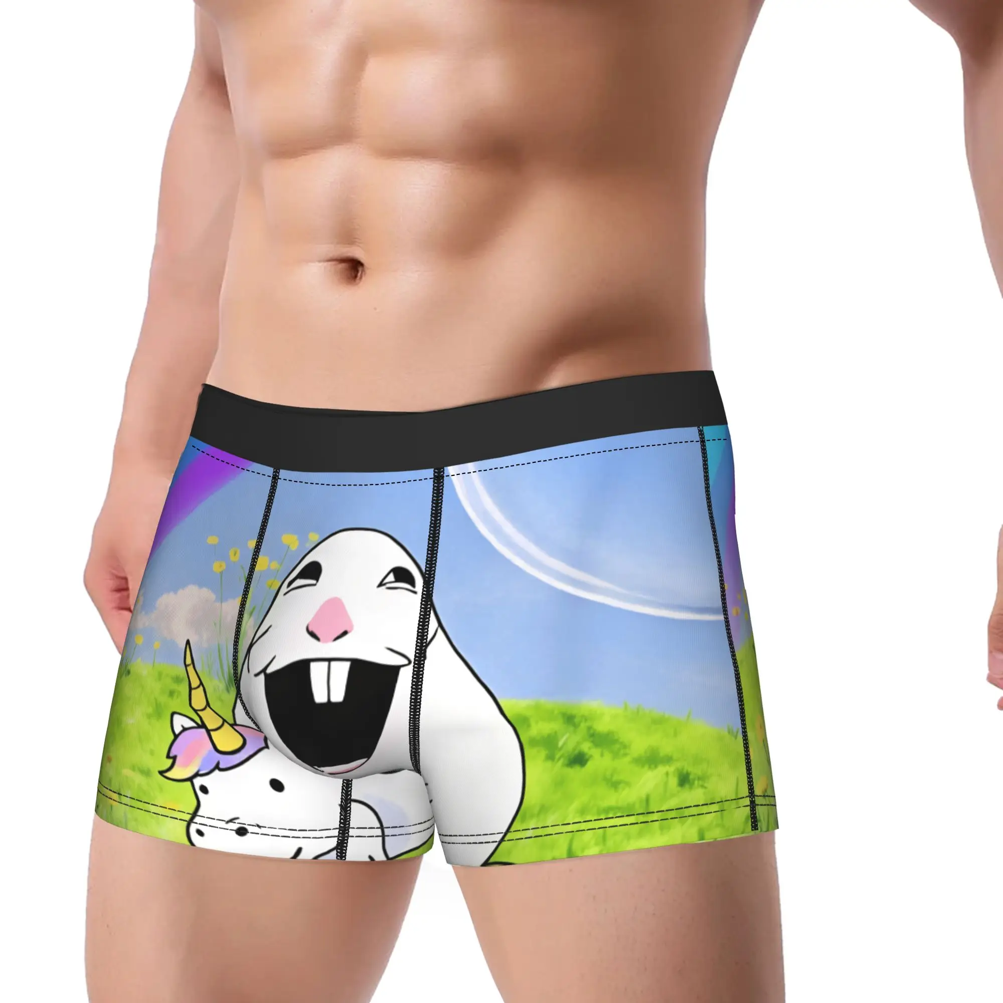 Happy Hamster Riding Unicorn Funny Meme Underwear  Printed Boxer Shorts High Quality Men Underpants Comfortable Shorts Briefs