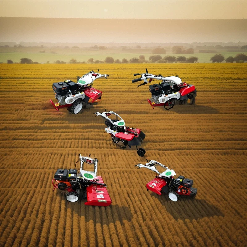 

Мини-экскаватор-погрузчик с дизельным двигателем, 12 л.с., 15 л.с., культиватор, двухколесный ходовой трактор, культиватор для сельского хозяйства