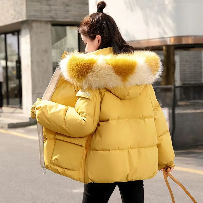 Winter Eiderdown Cotton-padded Coat 2024 New Female Of Loose Cotton-padded Coat Age-reducing Small Cotton-padded Coat Short Coat