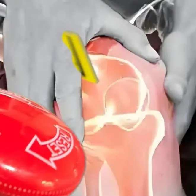 

Профессиональный лазерный терапевтический аппарат 5W 808/650 нм для снятия боли у людей и животных - для домашнего/клинического/ветеринарного использования