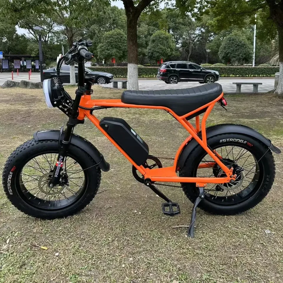 Electric Assisted Bike H20pro 1000W Motor 48V 30AH Mountain E-Bike 20 Inch Tire Commuting All Terrain Off-Road Electric Bicycle image 6