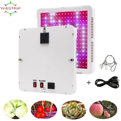 300W LED Grow Light Full Spectrum Phyto Plant Growth Lamp For Indoor Vegetable Seedling Flower Seedling Tent Fitolampy