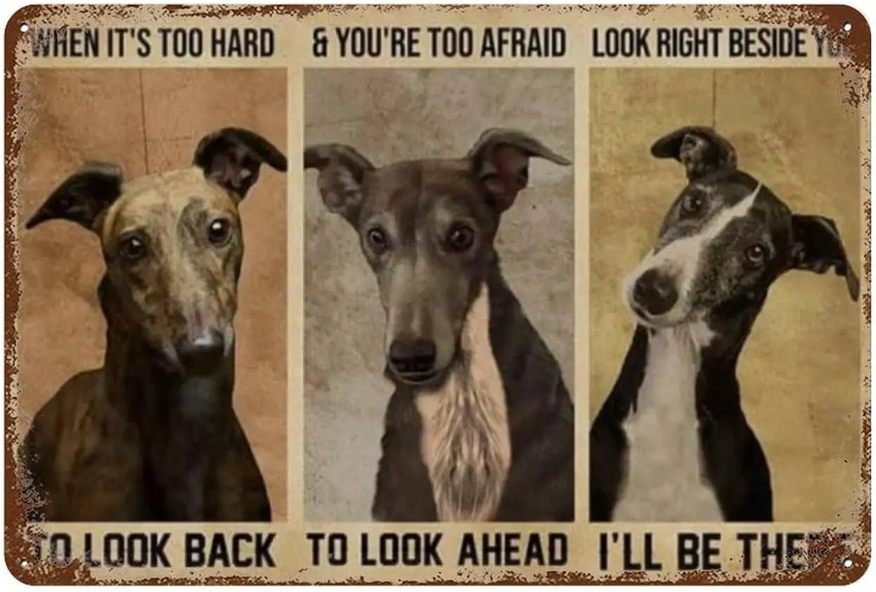 Metal Sign Greyhound When It'S Too Hard To Look Back Wall Art Decor Public Vintage Retro Tin Metal Sign Plaque 8X12 Inch