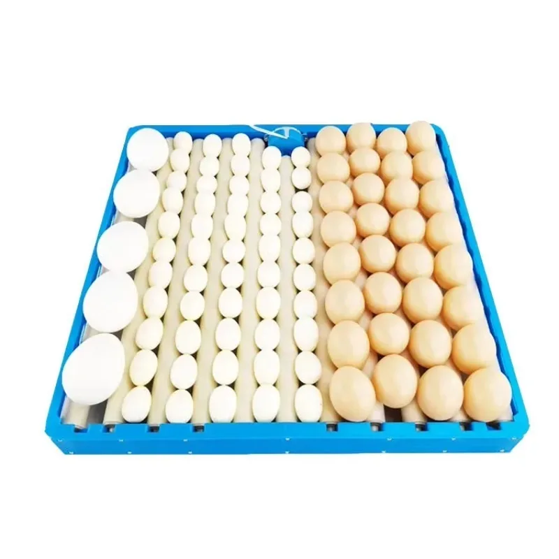

Special wholesale 70 egg trays, intelligent automatic hatching egg accessories, low price
