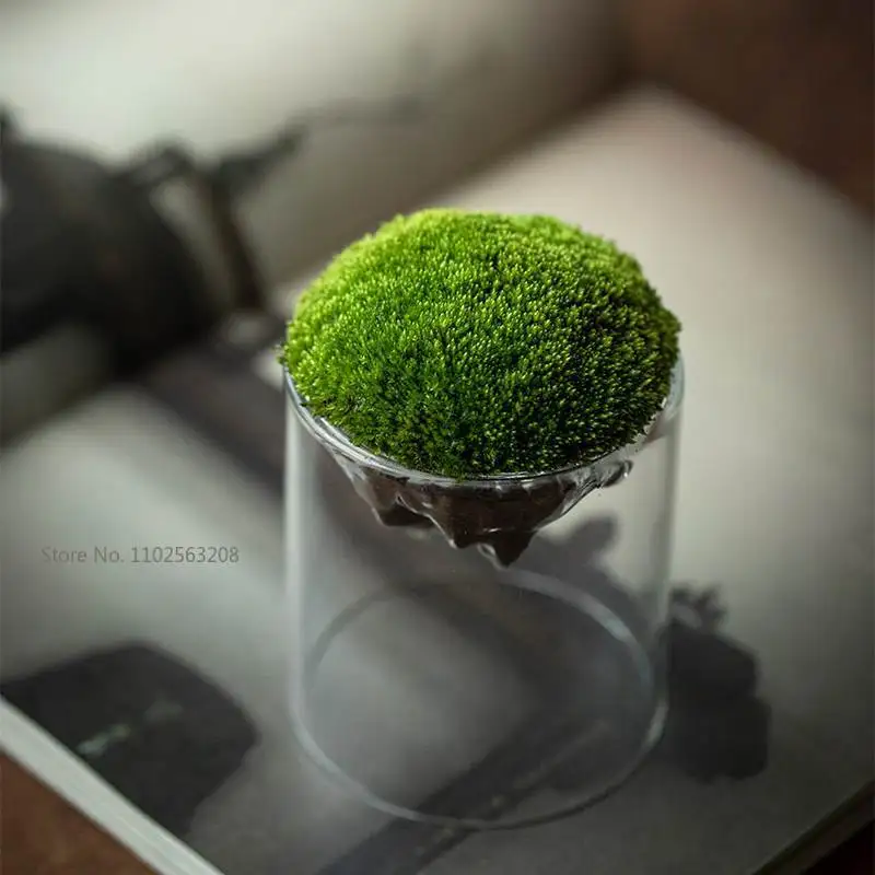 Creative Mountain Shaped Moss Glass Bottle Moss Vase Hydroponic Fleshy Micro Landscape Glass Terrarium Bonsai Home Decor