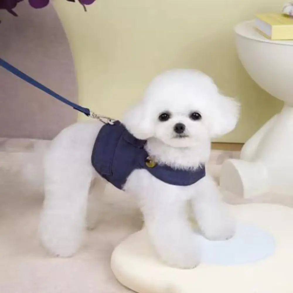 Adjustable Dog Cowboy Clothes Soft Breathable Dog Vest with Traction Rope Easy On and Off Puppy Harness Spring/Summer Season