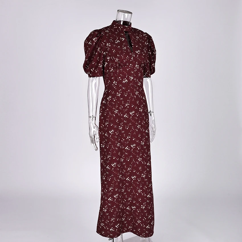 Linad Spring Elegant Print Long Dress Vintage High Waist Puff Sleeve Dresses Lady Casual Chiffon Turtleneck Dress For Women 2026
