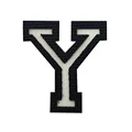 Y  luminous