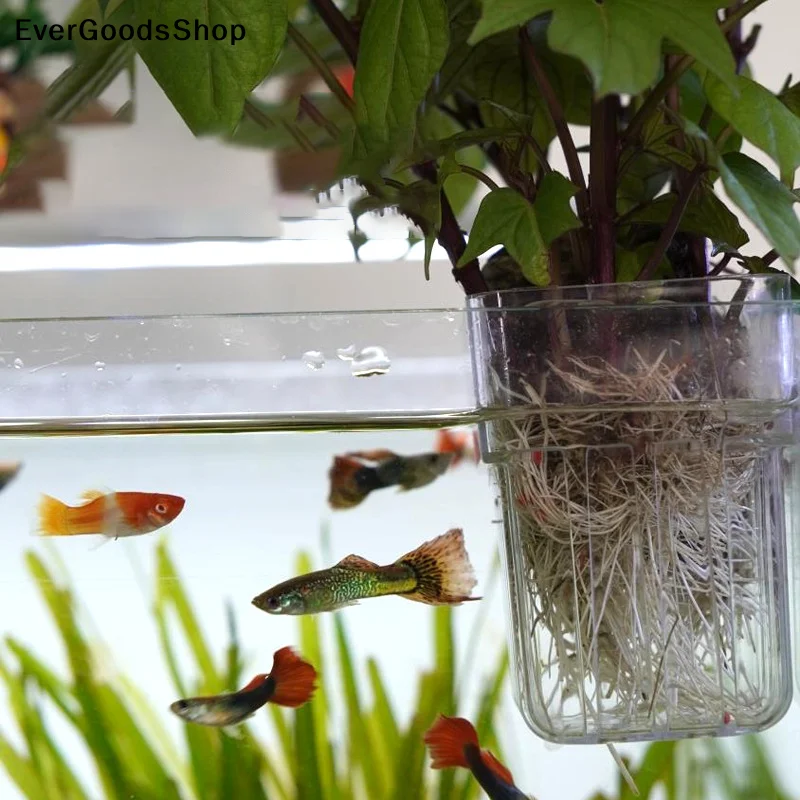 Aquarium Fish Pot - Soporte Transparente para Plantas de Acuario,